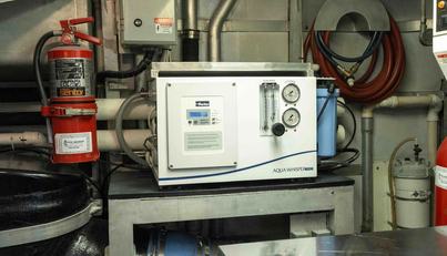 WELL DONE For Sale image80