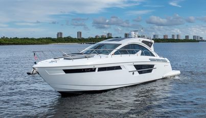 Tropical Dreamer For Sale image4