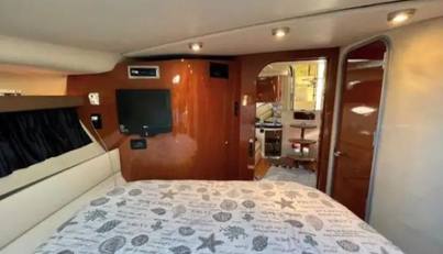 Sophia For Sale image18