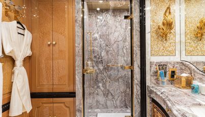 I DYNASTY For Sale image33