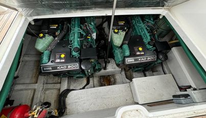 Dancing Bear For Sale image8