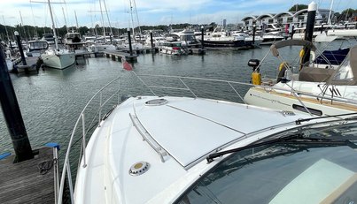 DRAGONFLY For Sale image41