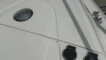 Alisma For Sale image3