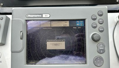 Notorius For Sale image37