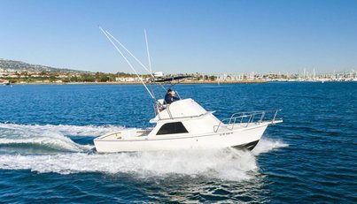 Patriot For Sale image24