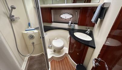 Gracie For Sale image39