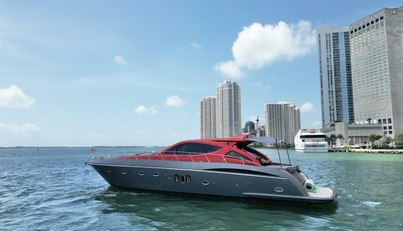 Notorius For Sale image8