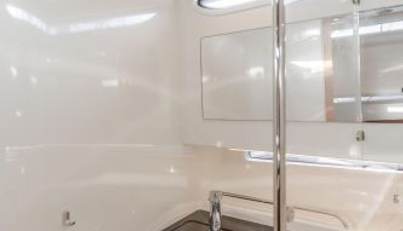 Intrepid For Sale image33