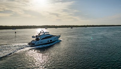 Sea Wolf For Sale image53