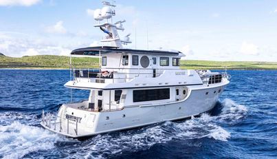 Martini For Sale image7