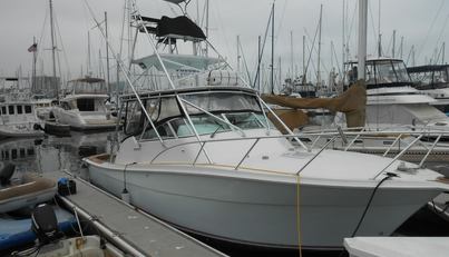 Beer Money For Sale image14