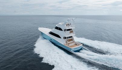 MODERATION For Sale image57