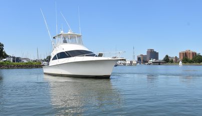 DRAM-BUOY For Sale image1