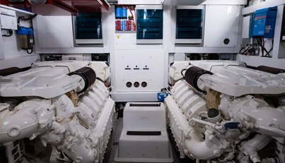 Chinonino For Sale image79