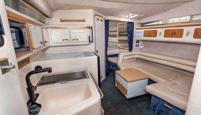 Sea Oddity For Sale image13