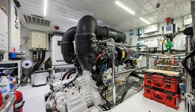 PHOENIX For Sale image139