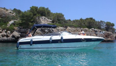 Nemo II For Sale image7