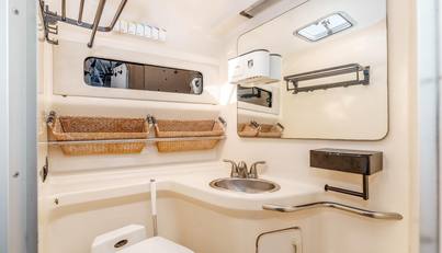 Sea Oddity For Sale image24