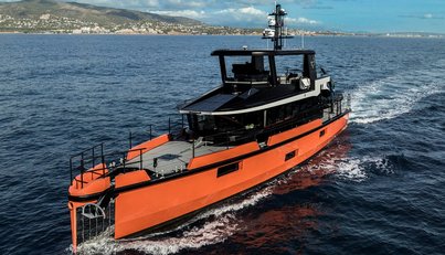 VANGUARD For Sale image34