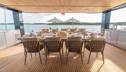 VIVACE For Sale image14