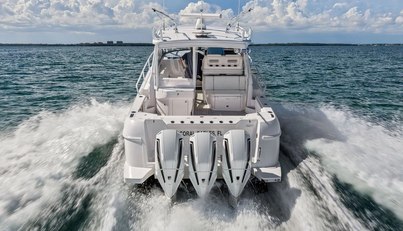 Salty Dog For Sale image6