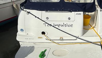 Too Impulsive For Sale image18