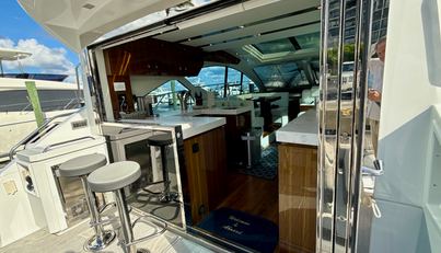 Tropical Dreamer For Sale image21