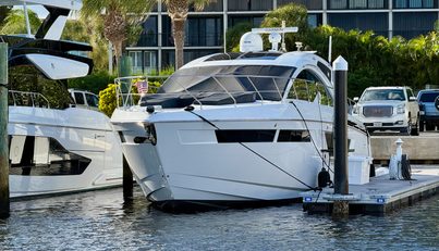 Tropical Dreamer For Sale image4