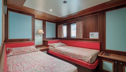 New Master  For Sale image31