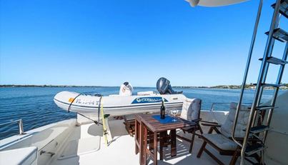 Octopi For Sale image159