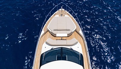 DUDU For Sale image15