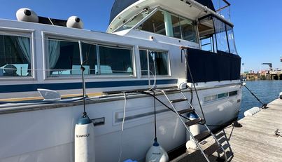 Sea Wolf For Sale image7
