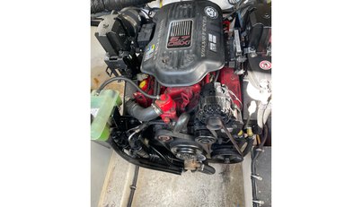 SeaHorse For Sale image35