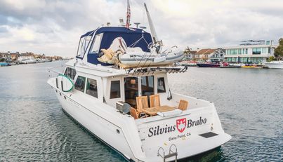 SILVIUS BRABO For Sale image4