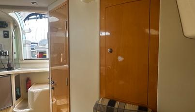 Alisma For Sale image31