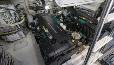 Black Pearl For Sale image25