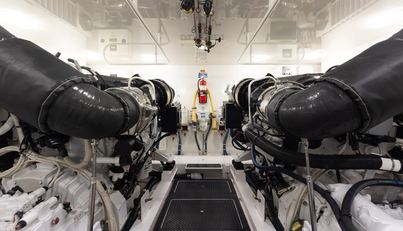 MODERATION For Sale image46