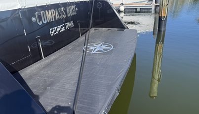 COMPASS ROSE For Sale image8