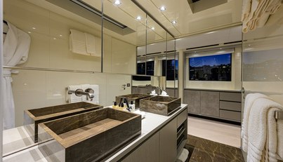 PHOENIX For Sale image39