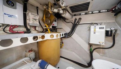 Octopi For Sale image50