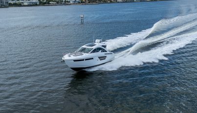 Tropical Dreamer For Sale image13