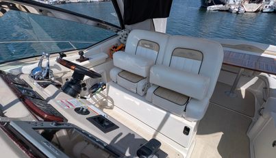 Fansea For Sale image12