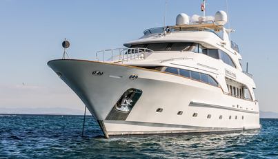 Stella Fiera For Sale image57