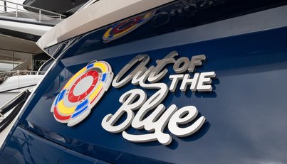 Out Of The Blue For Sale image5