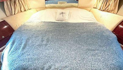 DRAGONFLY For Sale image3