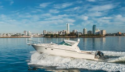 MISS MICHELLE For Sale image18