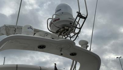 Gracie For Sale image9