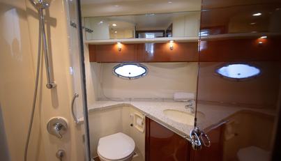 SCARLET For Sale image25