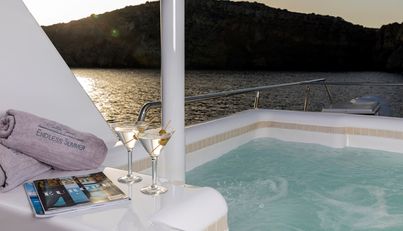 ENDLESS SUMMER For Sale image8