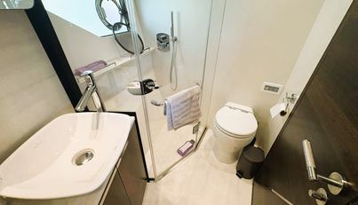 P55 For Sale image26